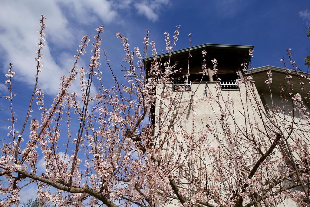 Bed and Breakfast Torretta D'Assisi Tordandrea Exterior foto